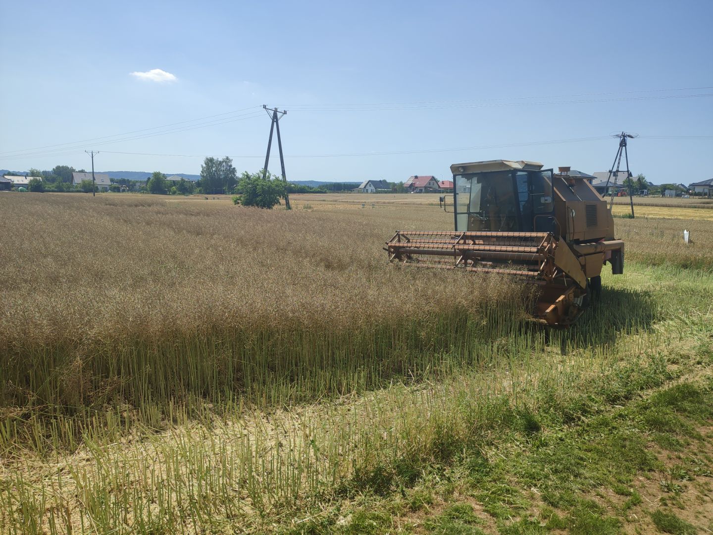 Wyniki plonowania odmian roślin uprawnych na polu doświadczalnym PODR w Boguchwale w 2022 r.
