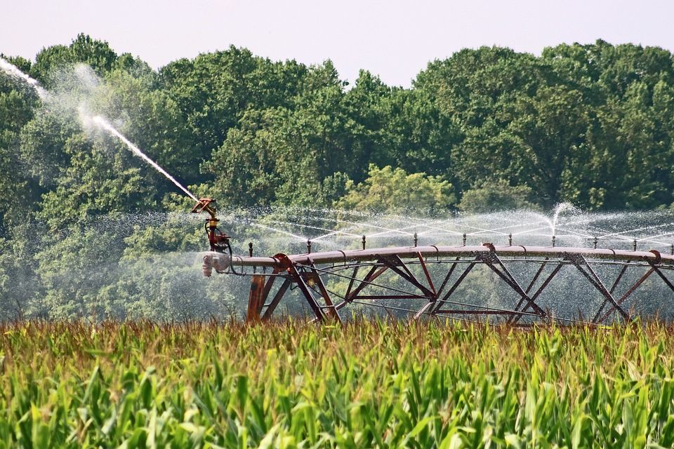 Modernizacja gospodarstw rolnych – wkrótce nabory w obszarach E - nawadnianie i F - zielona energia
