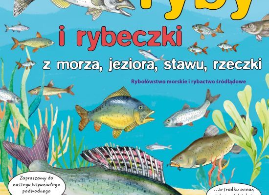 Do pobrania elektroniczna III wersja książeczki edukacyjnej pt. „Rybki, Ryby i Rybeczki z morza, jeziora, stawu, rzeczki