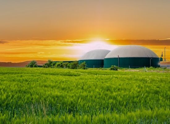 Wykorzystanie biomasy, surowców i produktów rolniczych jako odnawialnych źródeł energii w gospodarstwie